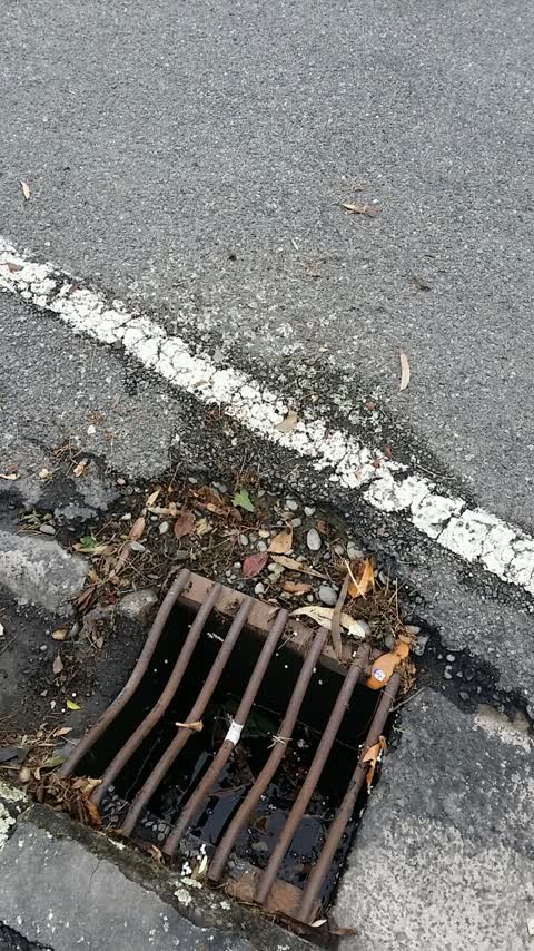 Roading/Streets, a report photo