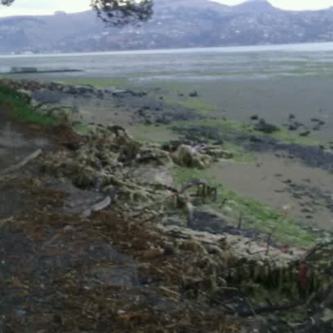 Parks, a report photo