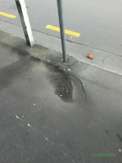 Roading/Streets, a report photo