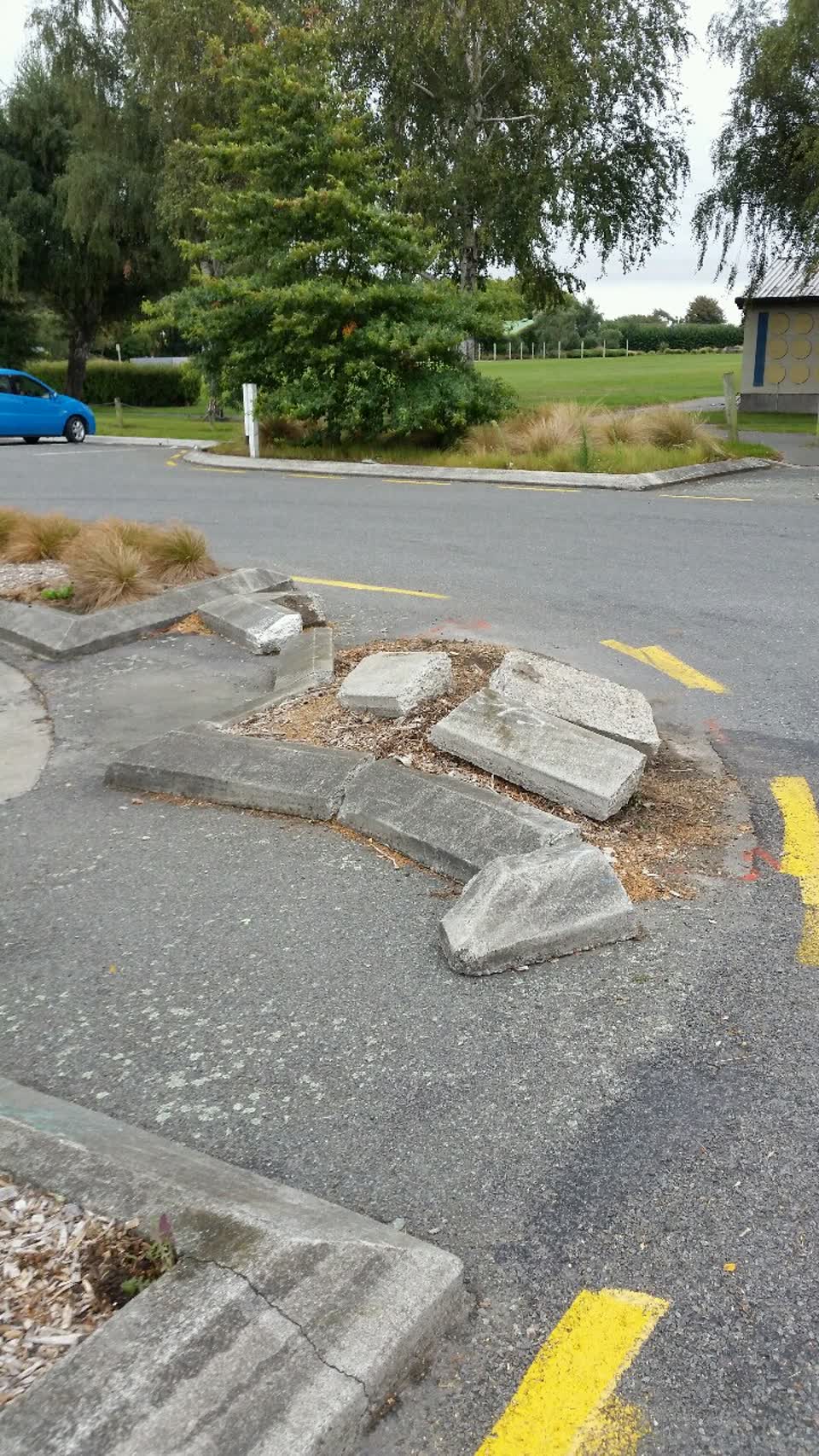 The photograph attached to this parks report