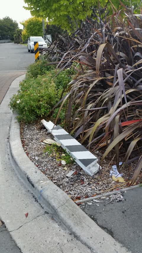 Roading/Streets, a report photo