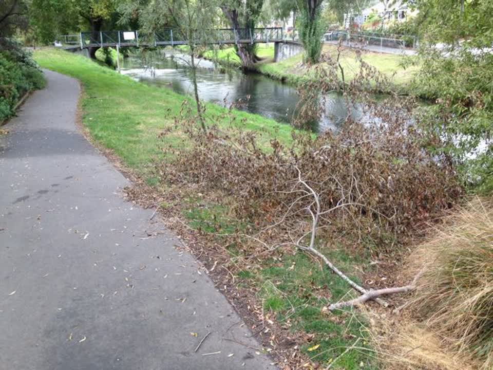 The photograph attached to this parks report