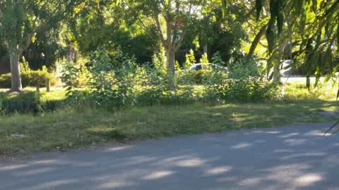 Parks, a report photo
