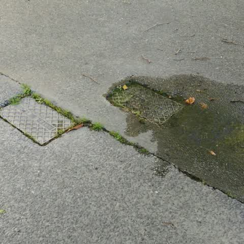 Water Supply, a report photo