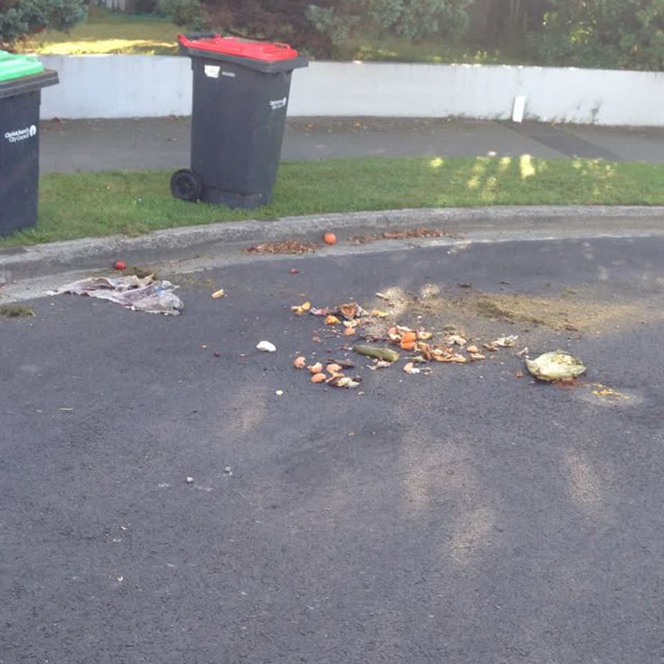 The photograph attached to this rubbish/recycling report
