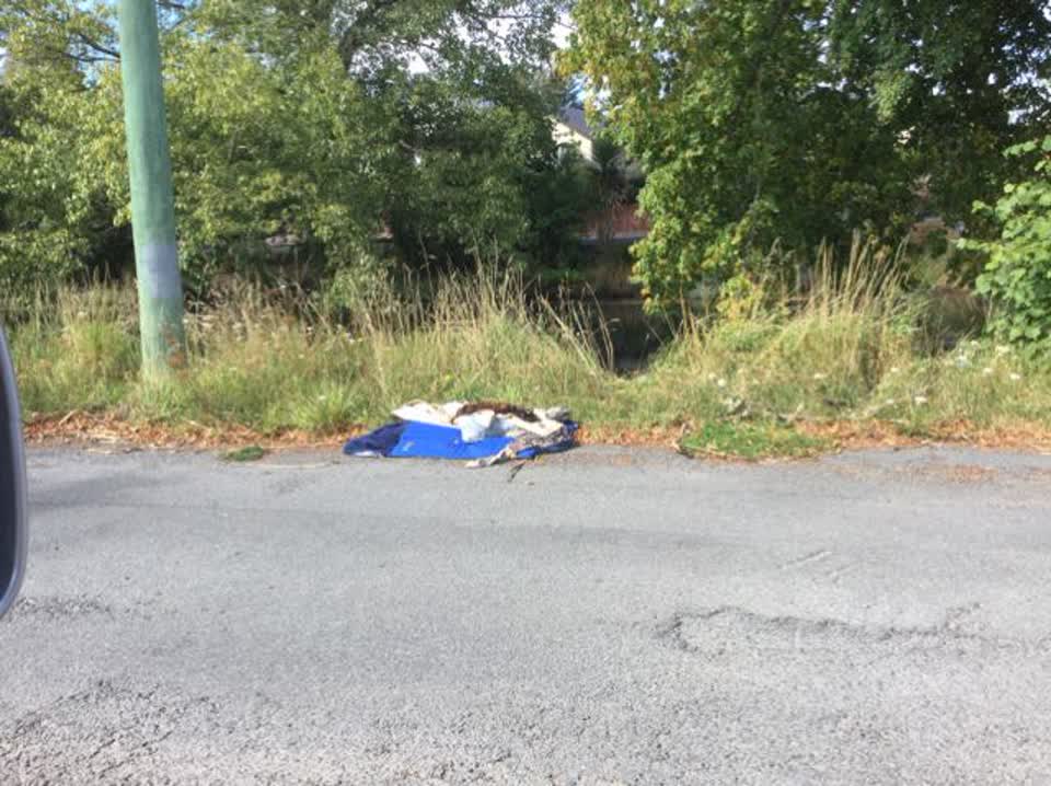 The photograph attached to this rubbish/recycling report