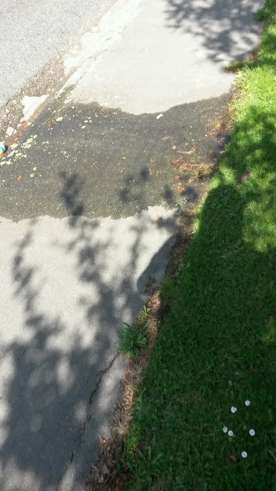 The photograph attached to this water supply report