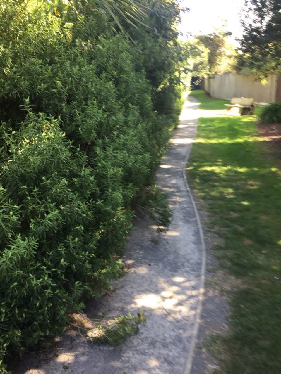 The photograph attached to this parks report