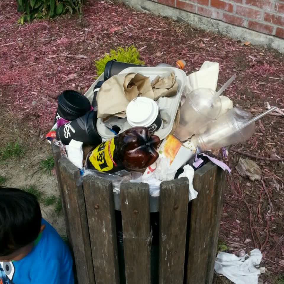 The photograph attached to this rubbish/recycling report