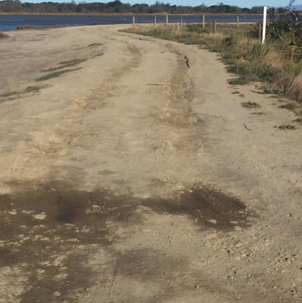 The photograph attached to this parks report