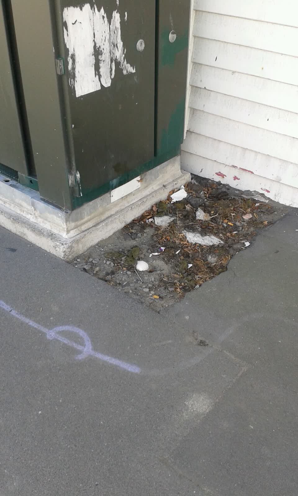The photograph attached to this roading/streets report