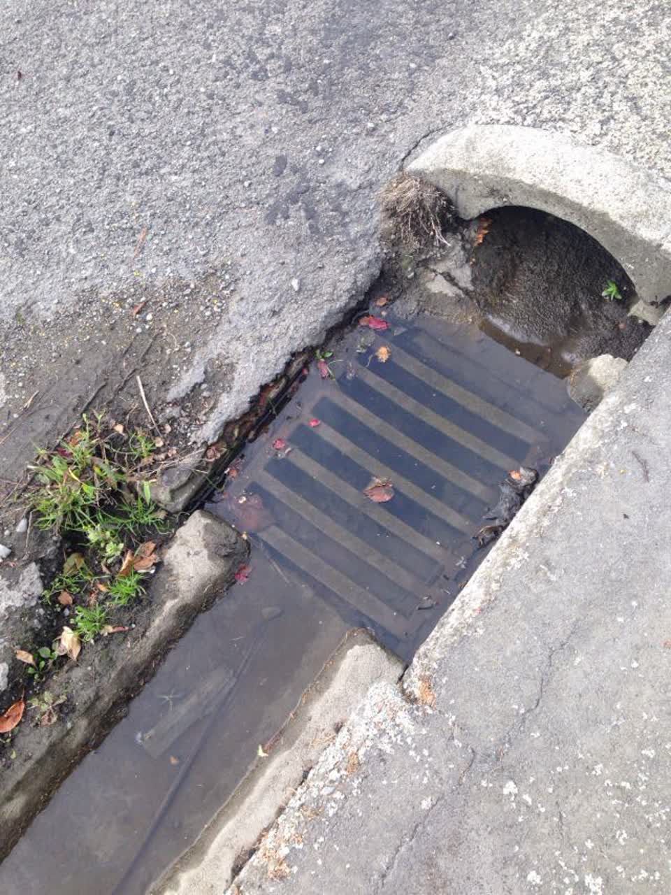 The photograph attached to this wastewater/stormwater report