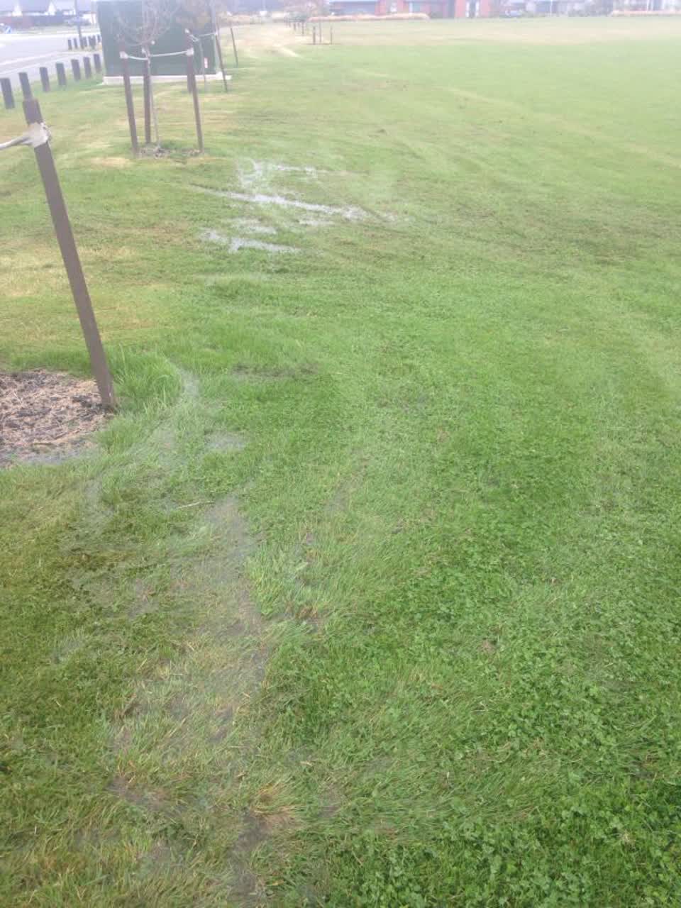 The photograph attached to this parks report