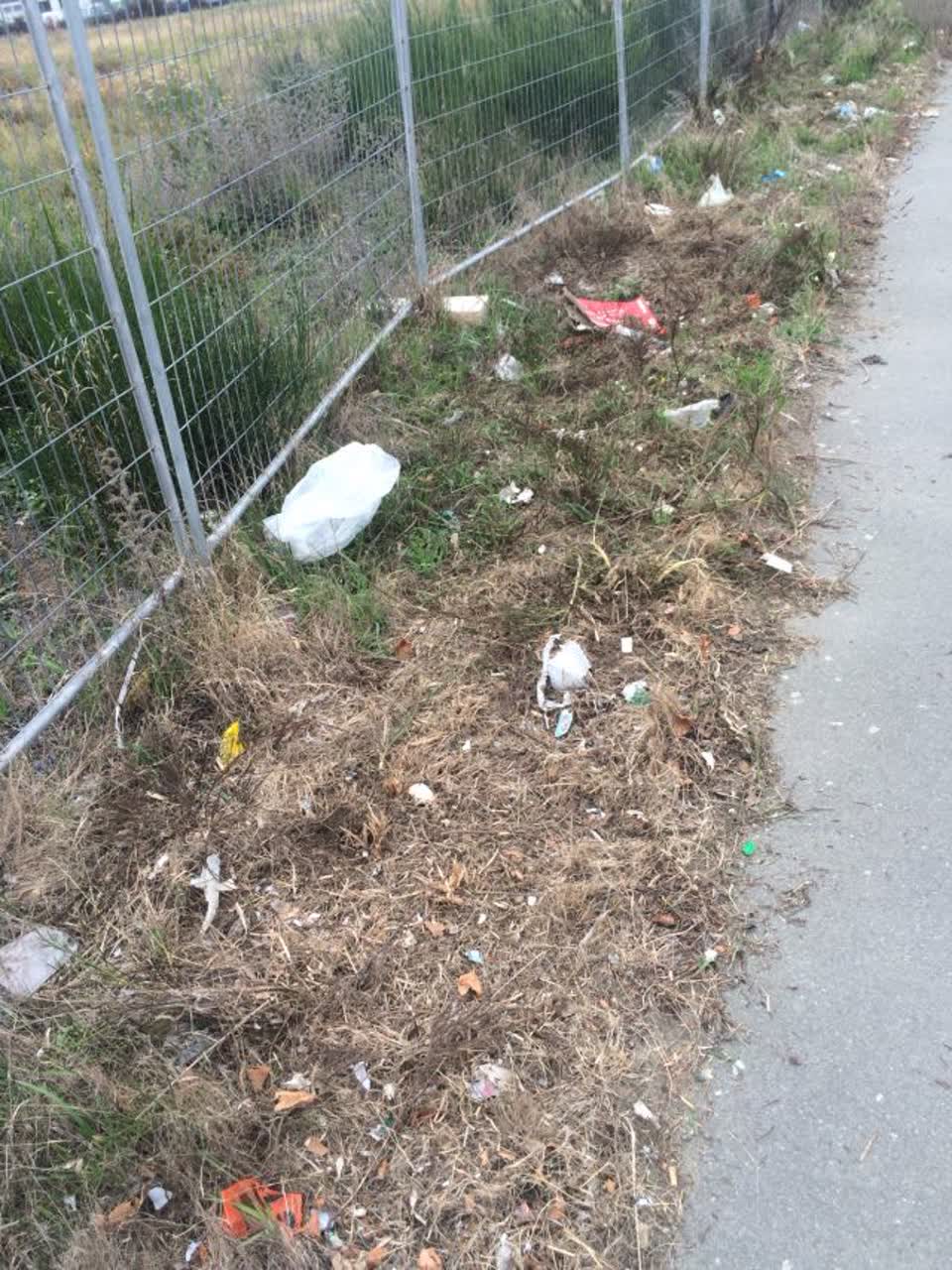 The photograph attached to this rubbish/recycling report