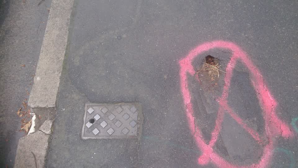 The photograph attached to this roading/streets report