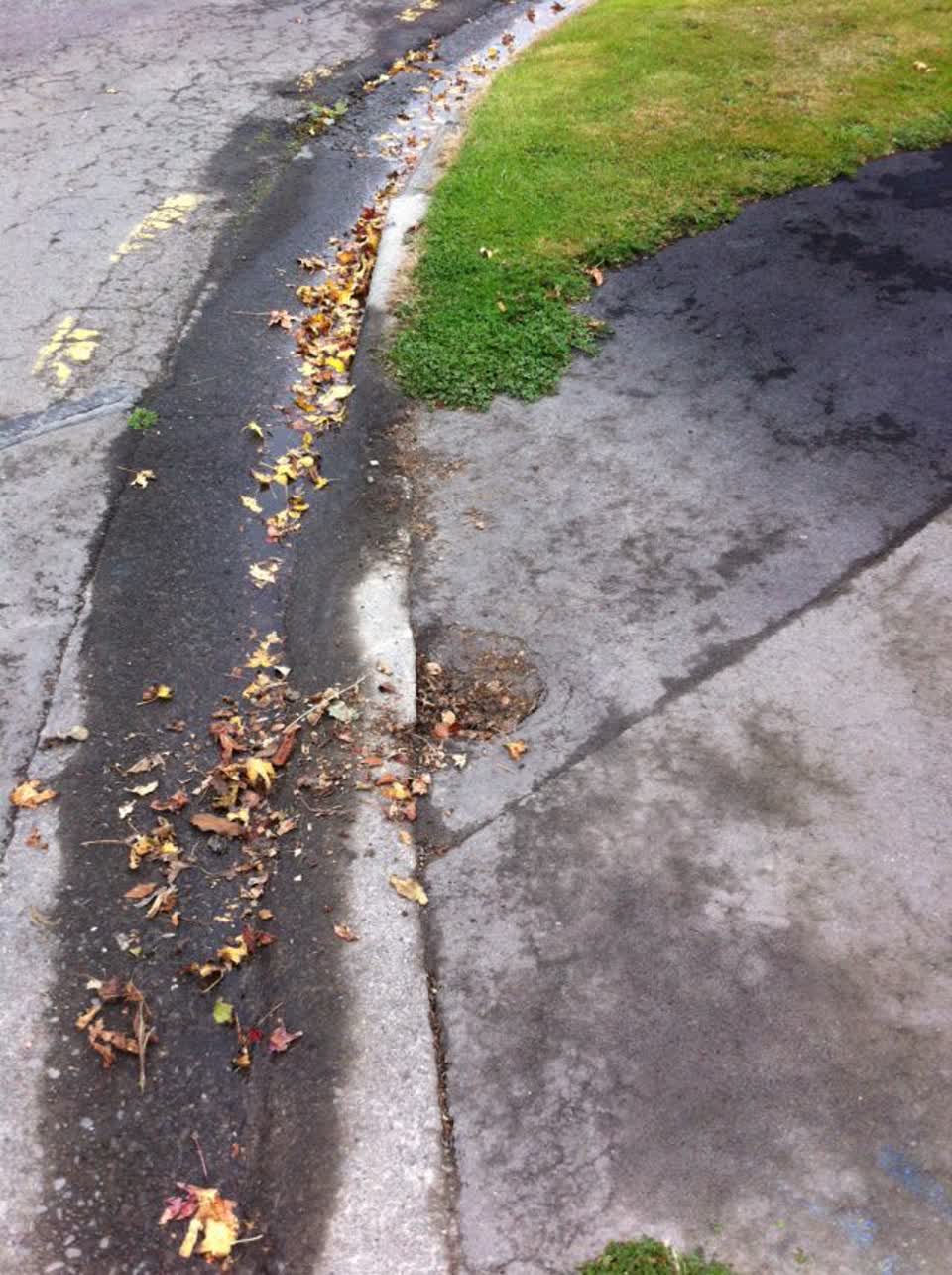 The photograph attached to this roading/streets report