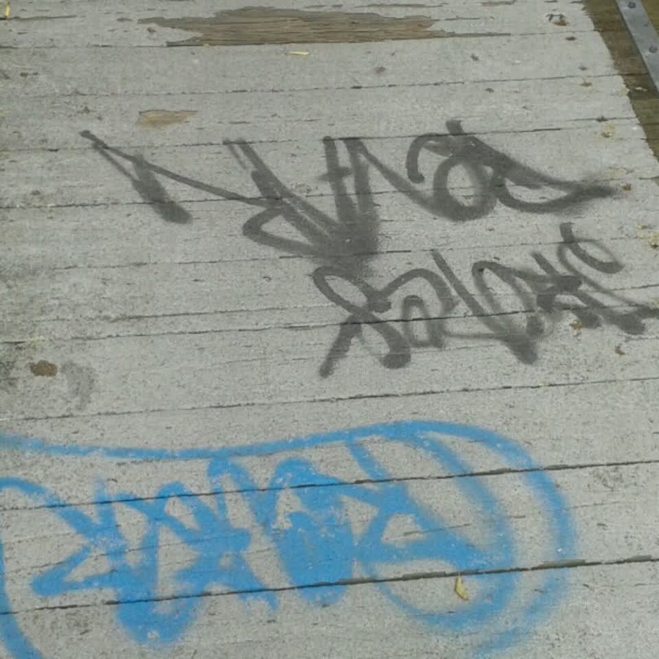 The photograph attached to this graffiti report