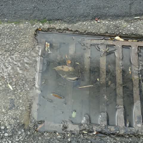 Wastewater/Stormwater, a report photo