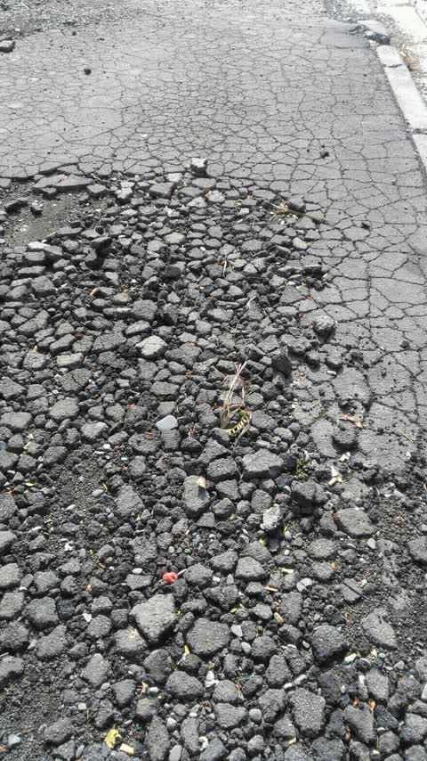 Roading/Streets, a report photo