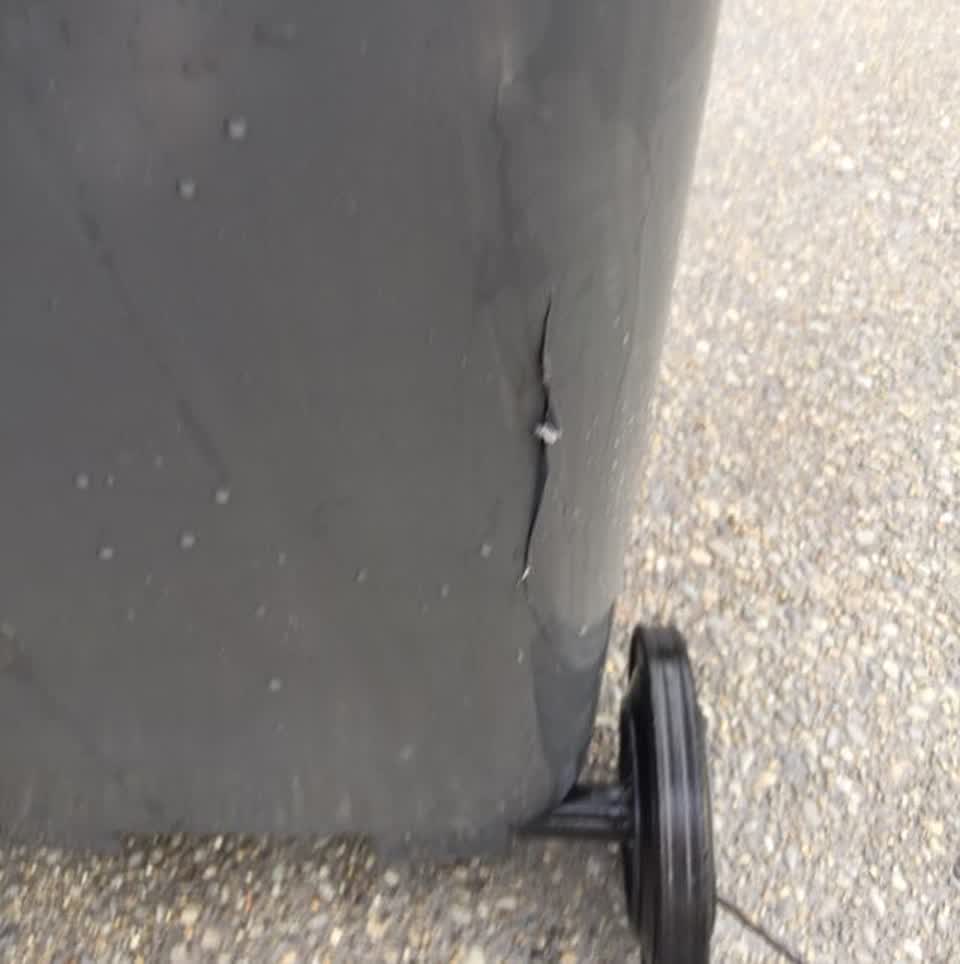 The photograph attached to this rubbish/recycling report