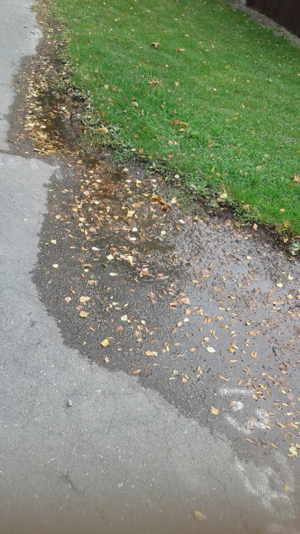 The photograph attached to this water supply report