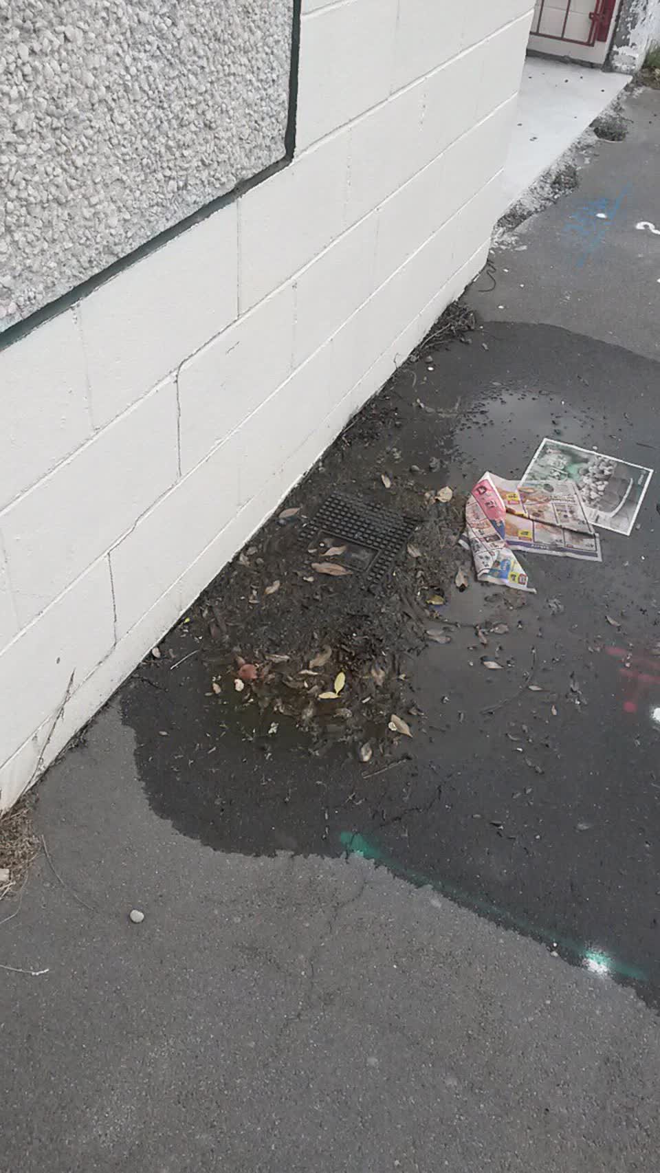 The photograph attached to this water supply report