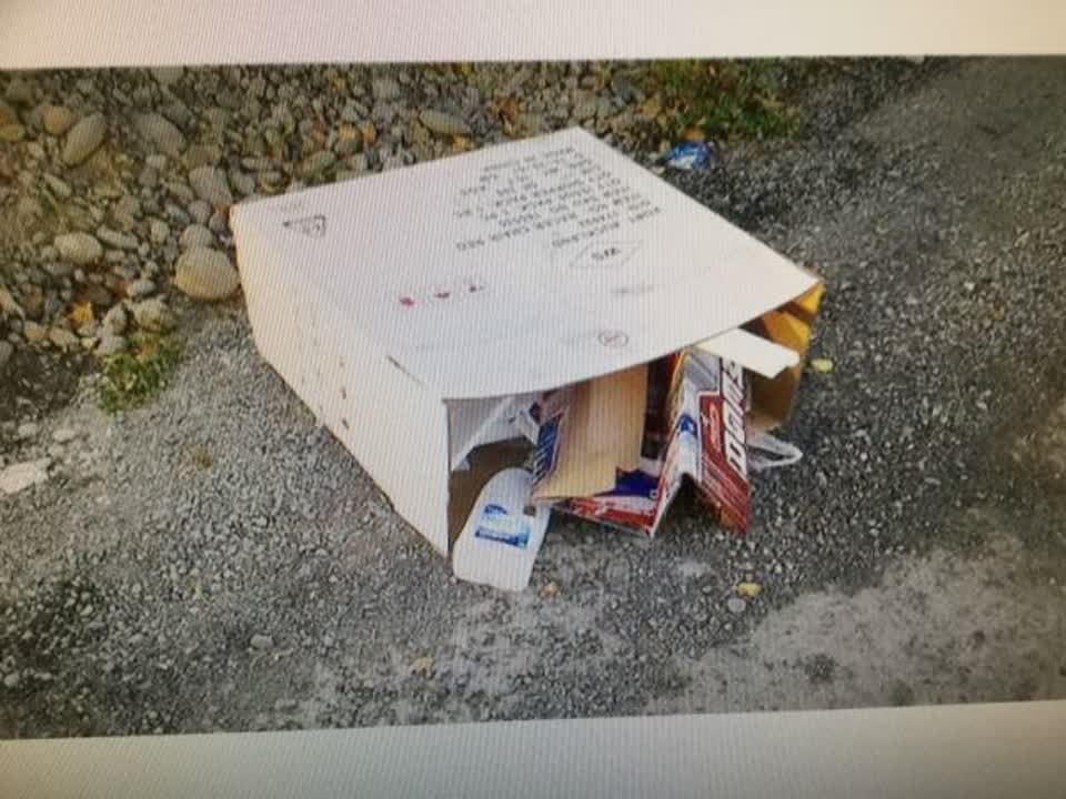 The photograph attached to this rubbish/recycling report