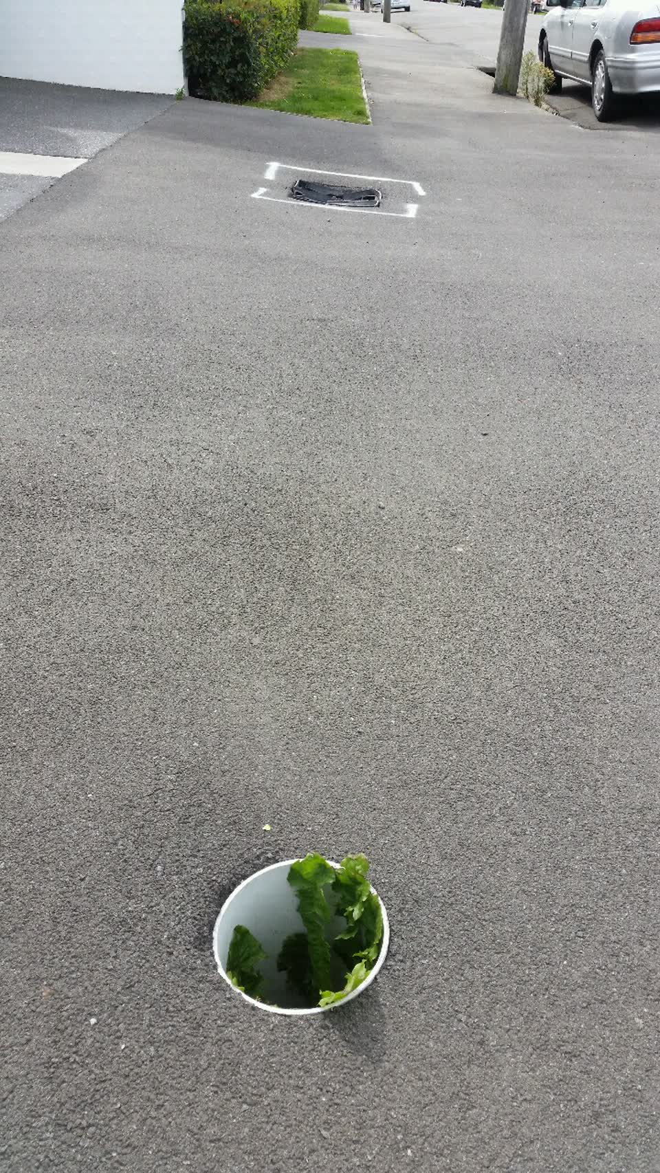 The photograph attached to this roading/streets report