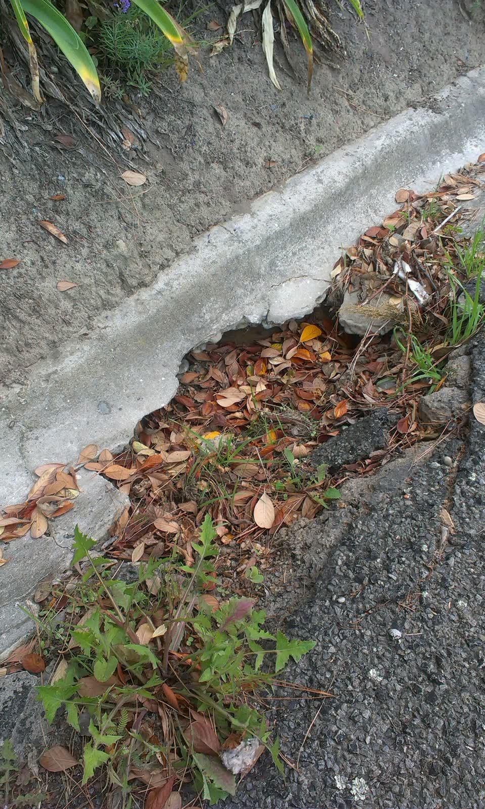 The photograph attached to this wastewater/stormwater report