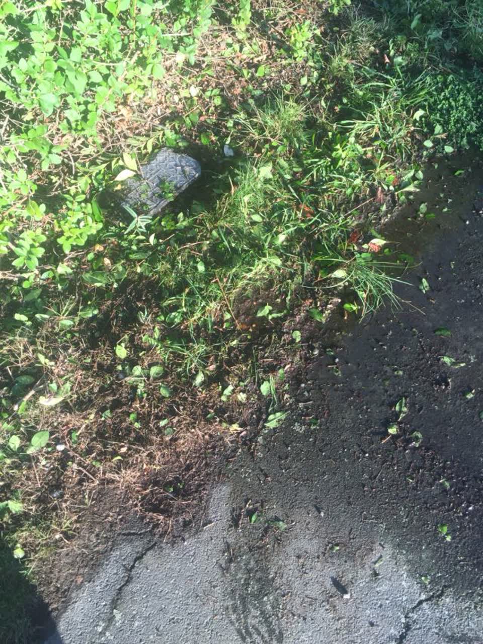 The photograph attached to this water supply report