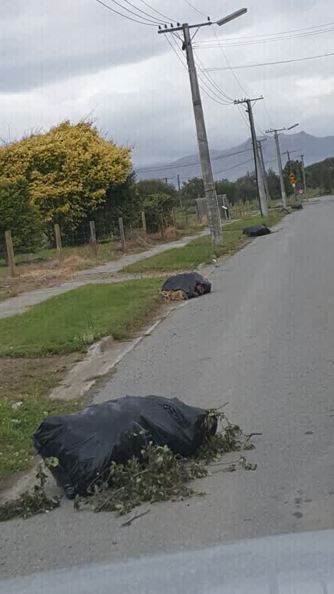 Rubbish/Recycling, a report photo
