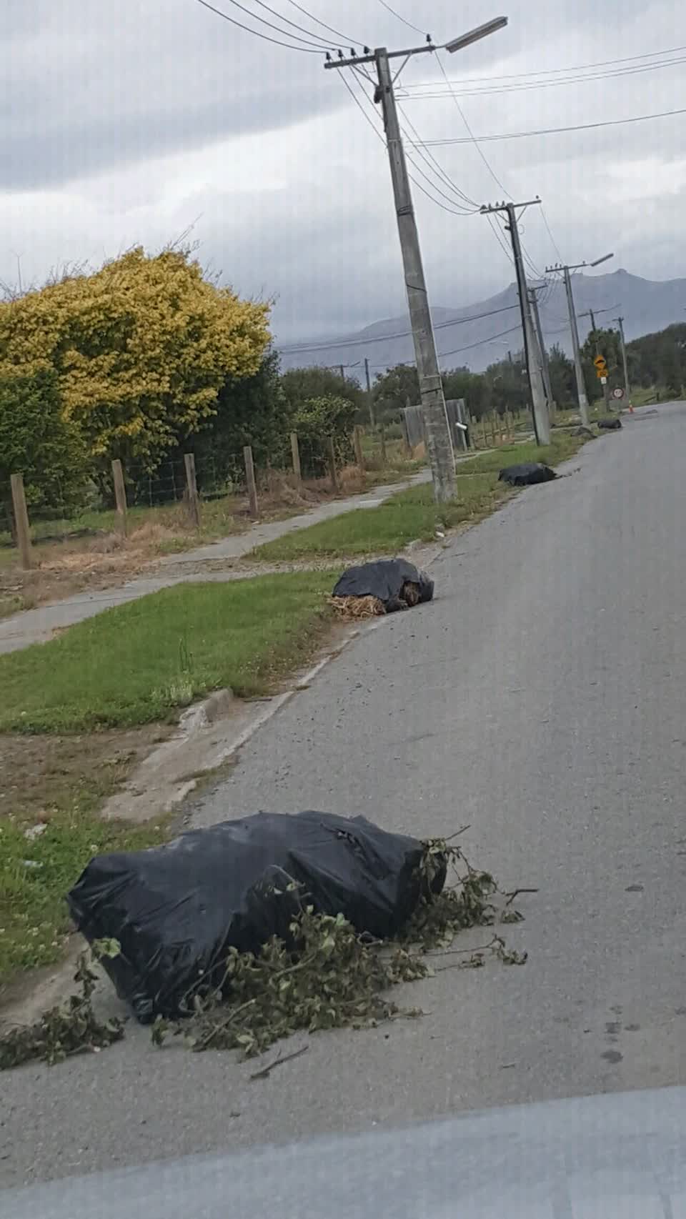 The photograph attached to this rubbish/recycling report