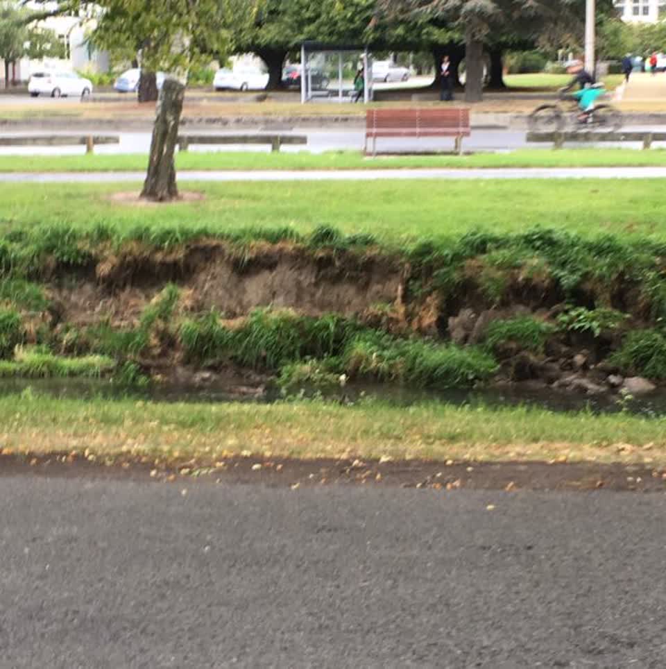 The photograph attached to this parks report