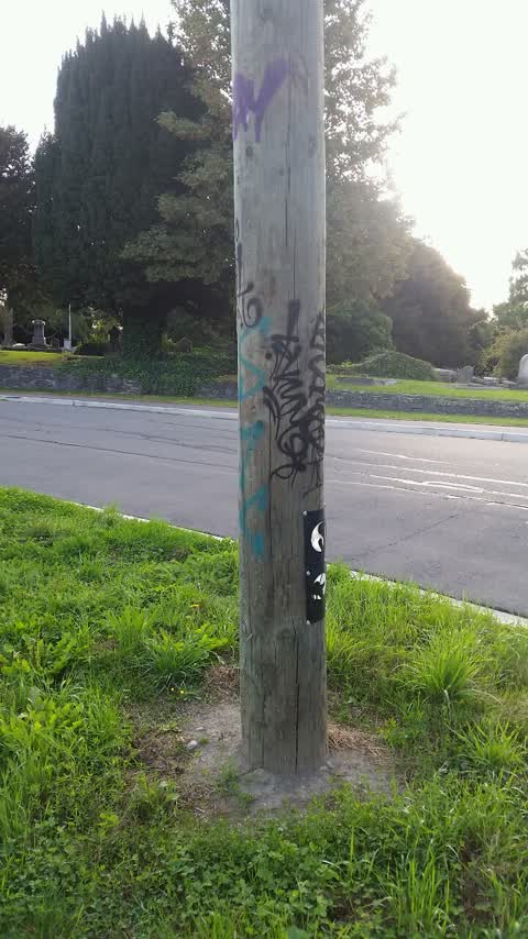 Graffiti — a report photo