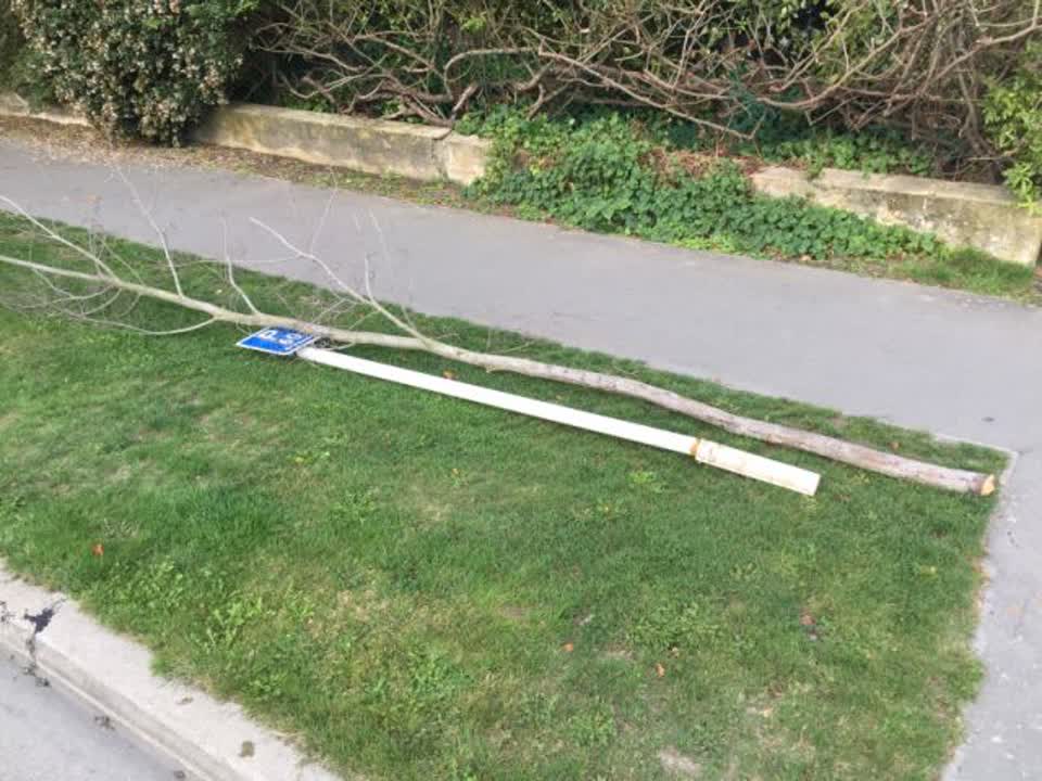 The photograph attached to this roading/streets report