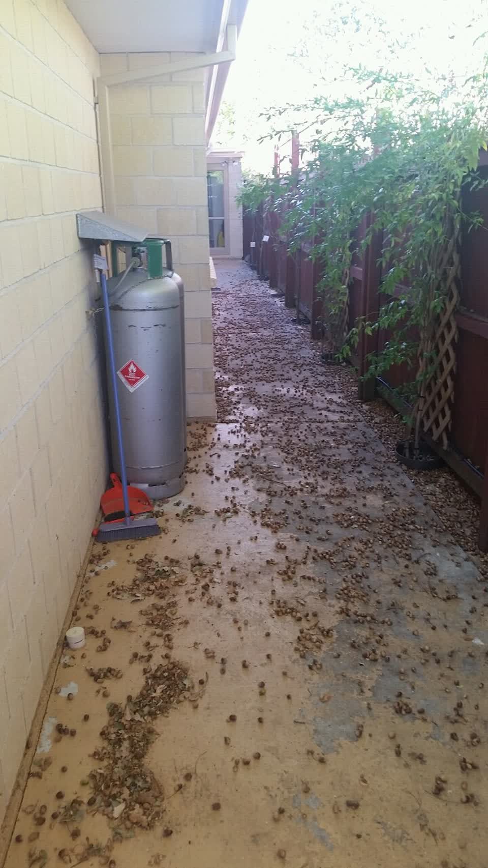 The photograph attached to this parks report