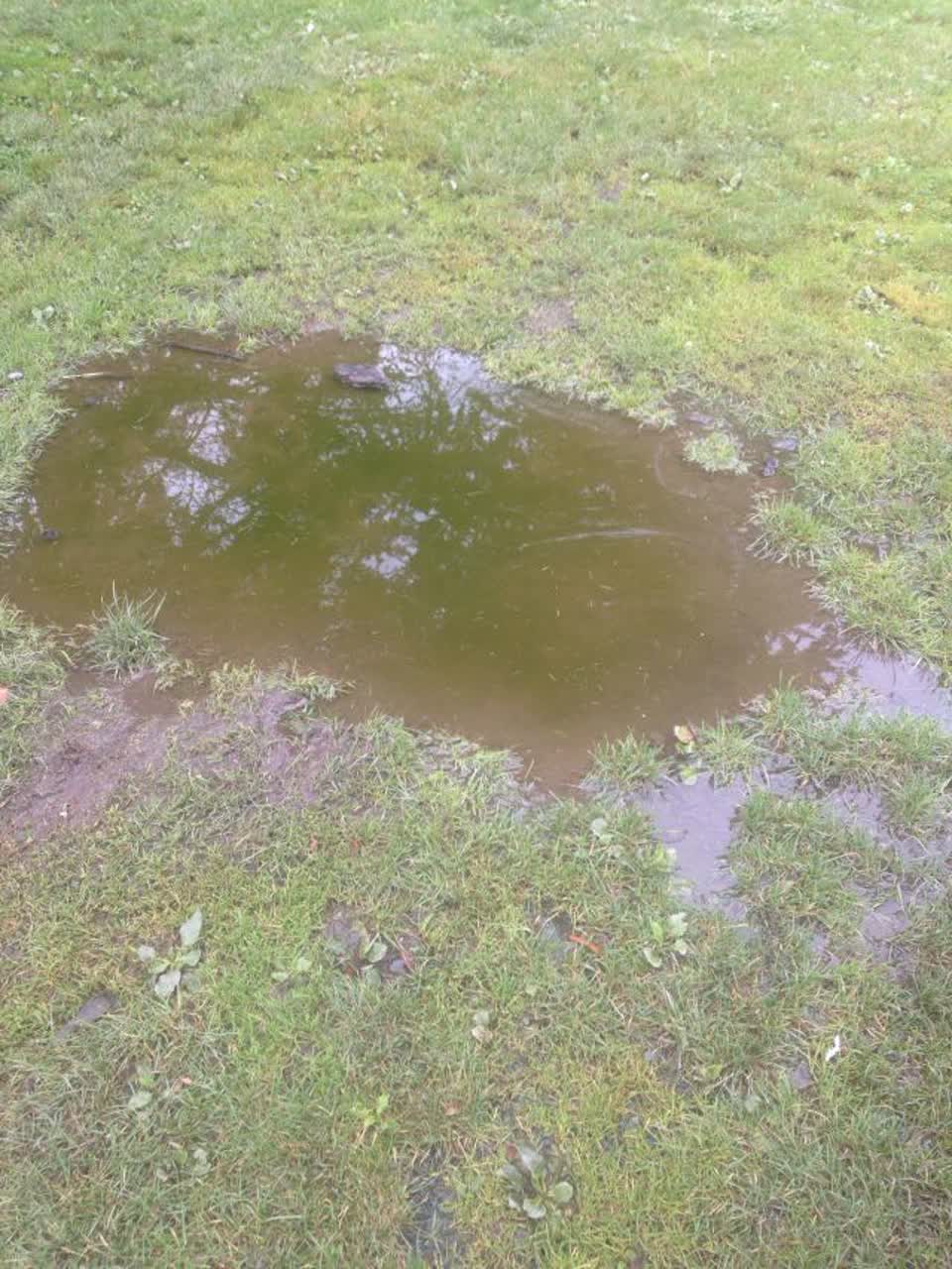 The photograph attached to this parks report