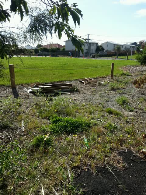 Rubbish/Recycling — a report photo