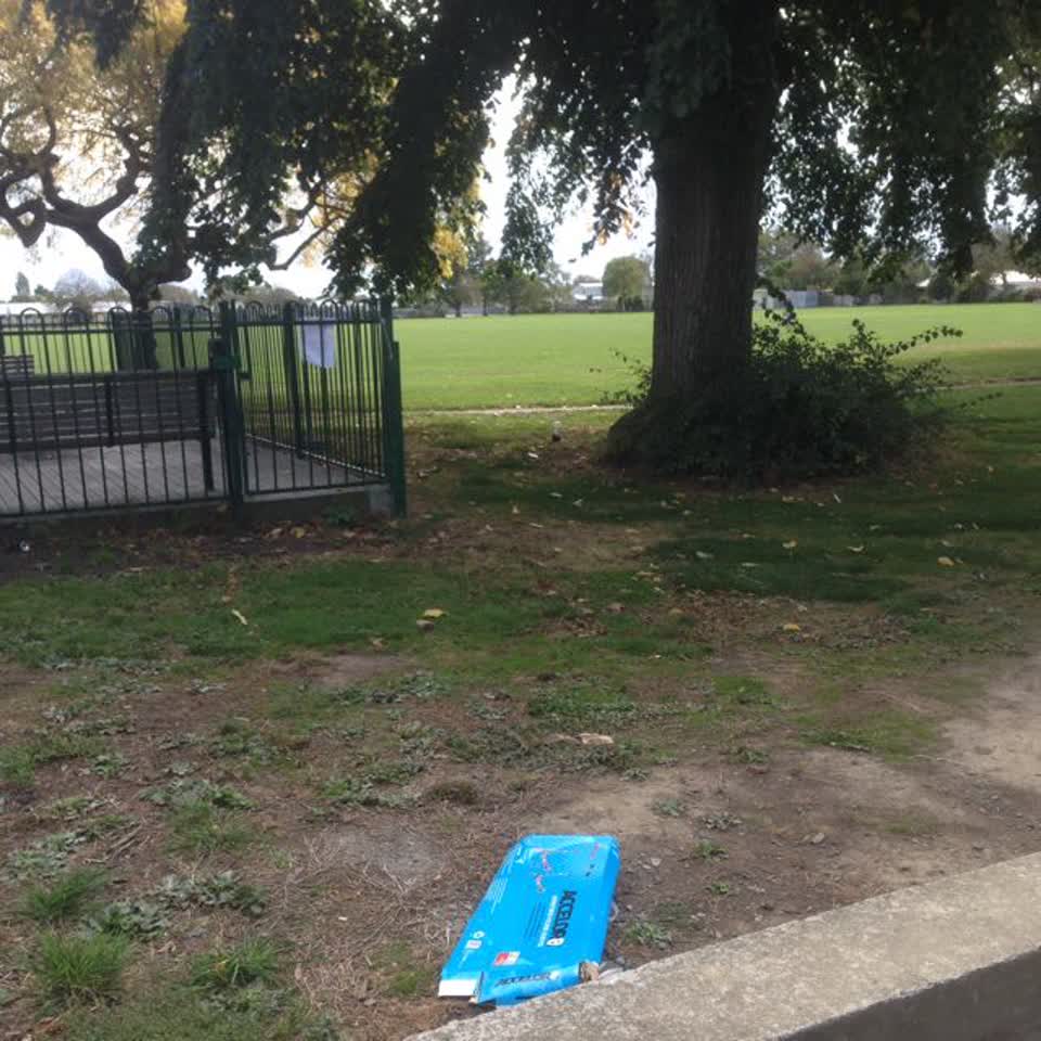 The photograph attached to this parks report