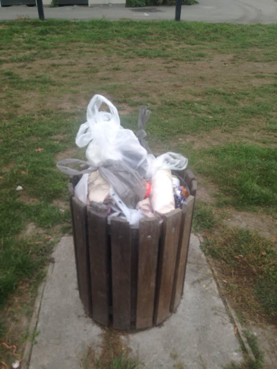The photograph attached to this parks report