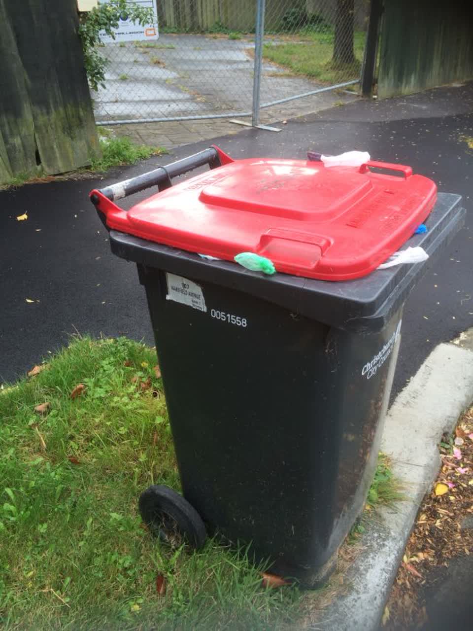 The photograph attached to this rubbish/recycling report