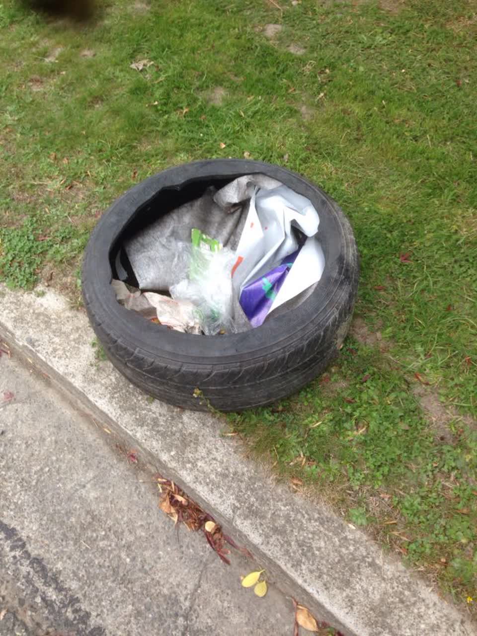 The photograph attached to this rubbish/recycling report