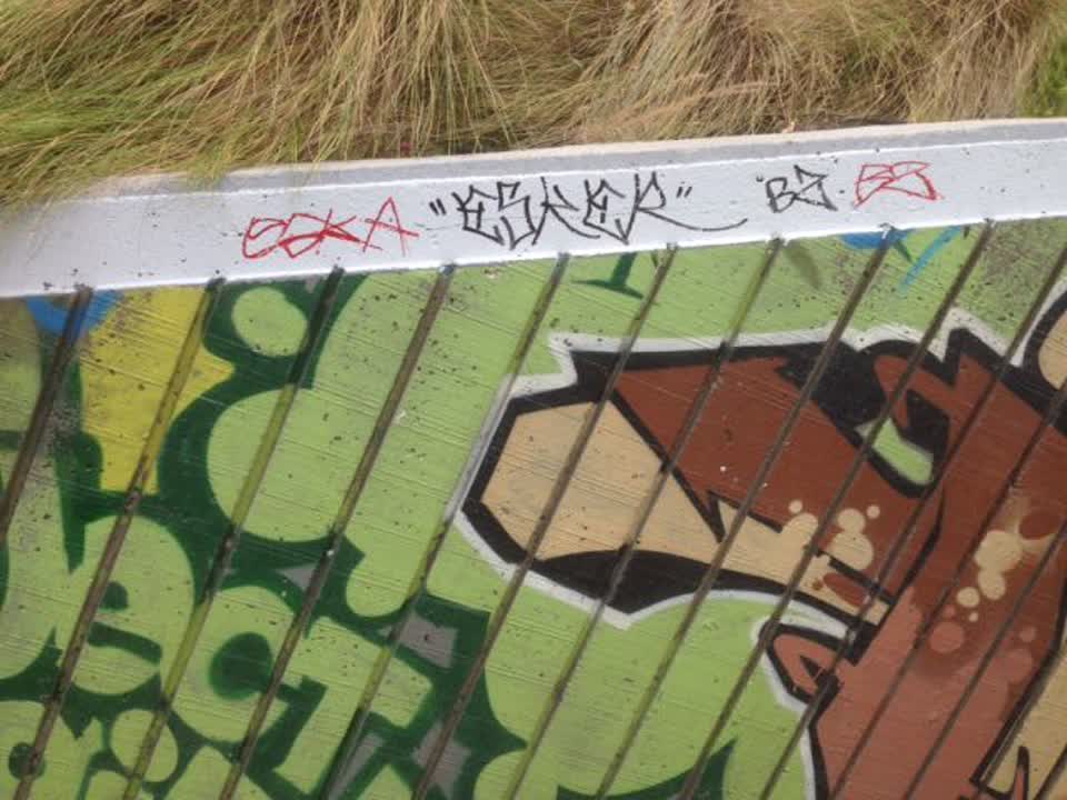 The photograph attached to this graffiti report
