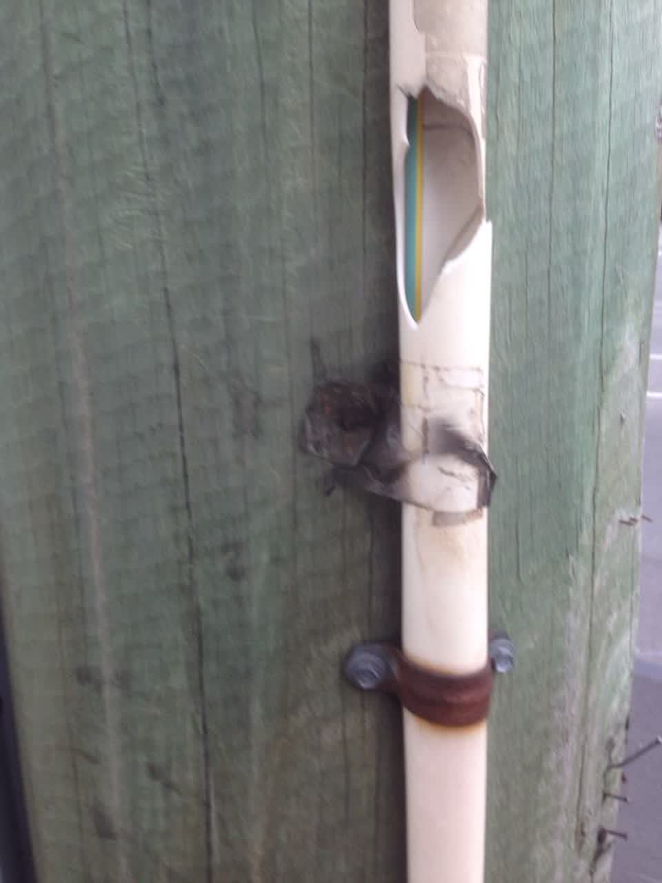 The photograph attached to this roading/streets report