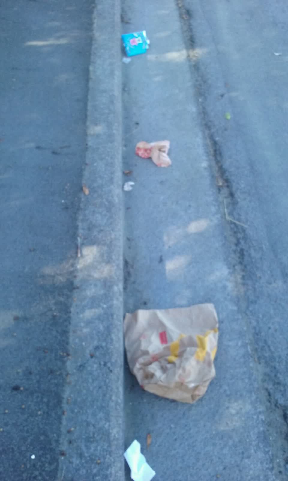 The photograph attached to this rubbish/recycling report