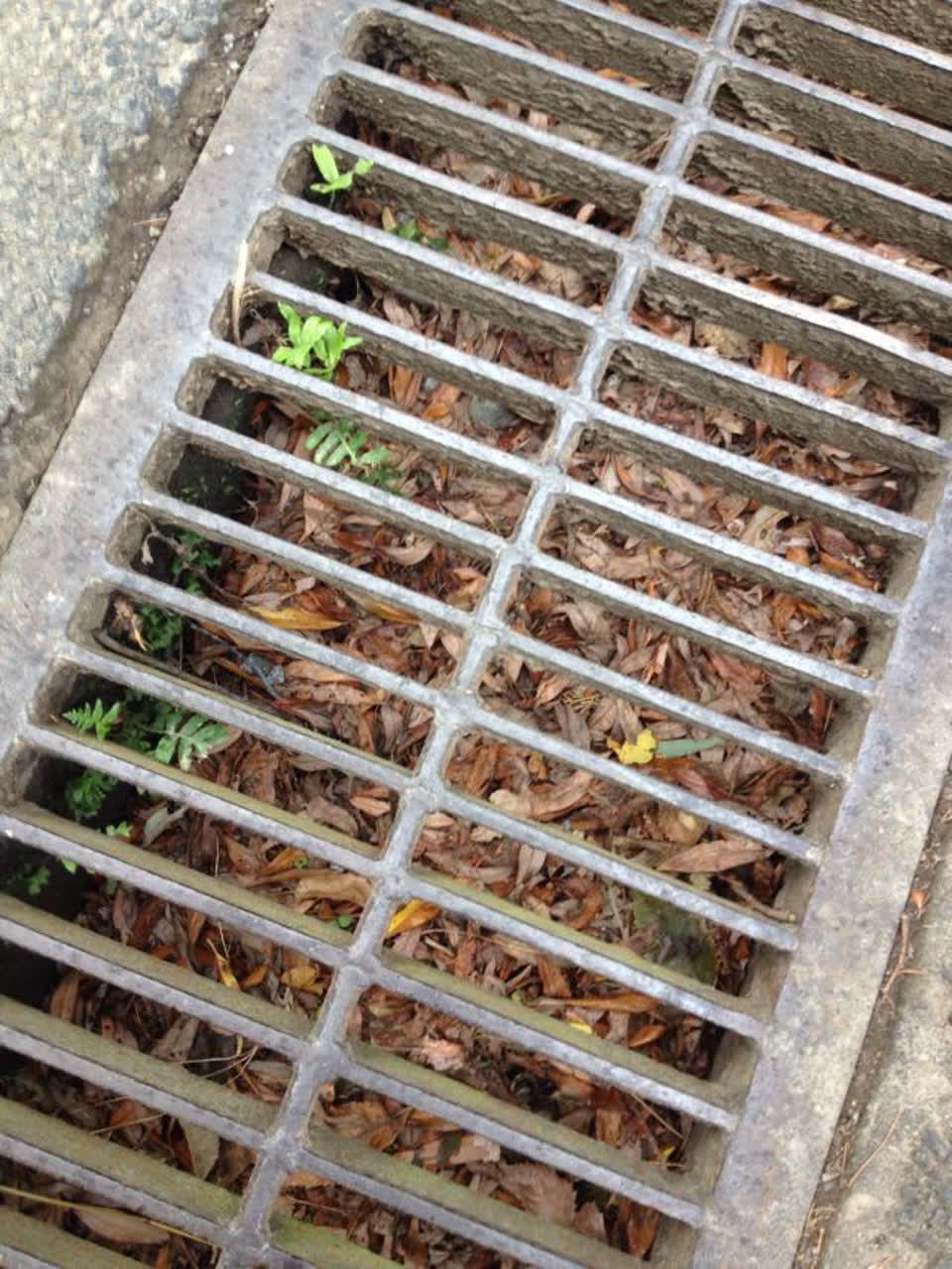 The photograph attached to this wastewater/stormwater report
