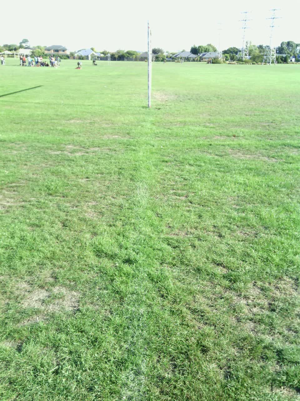 The photograph attached to this parks report