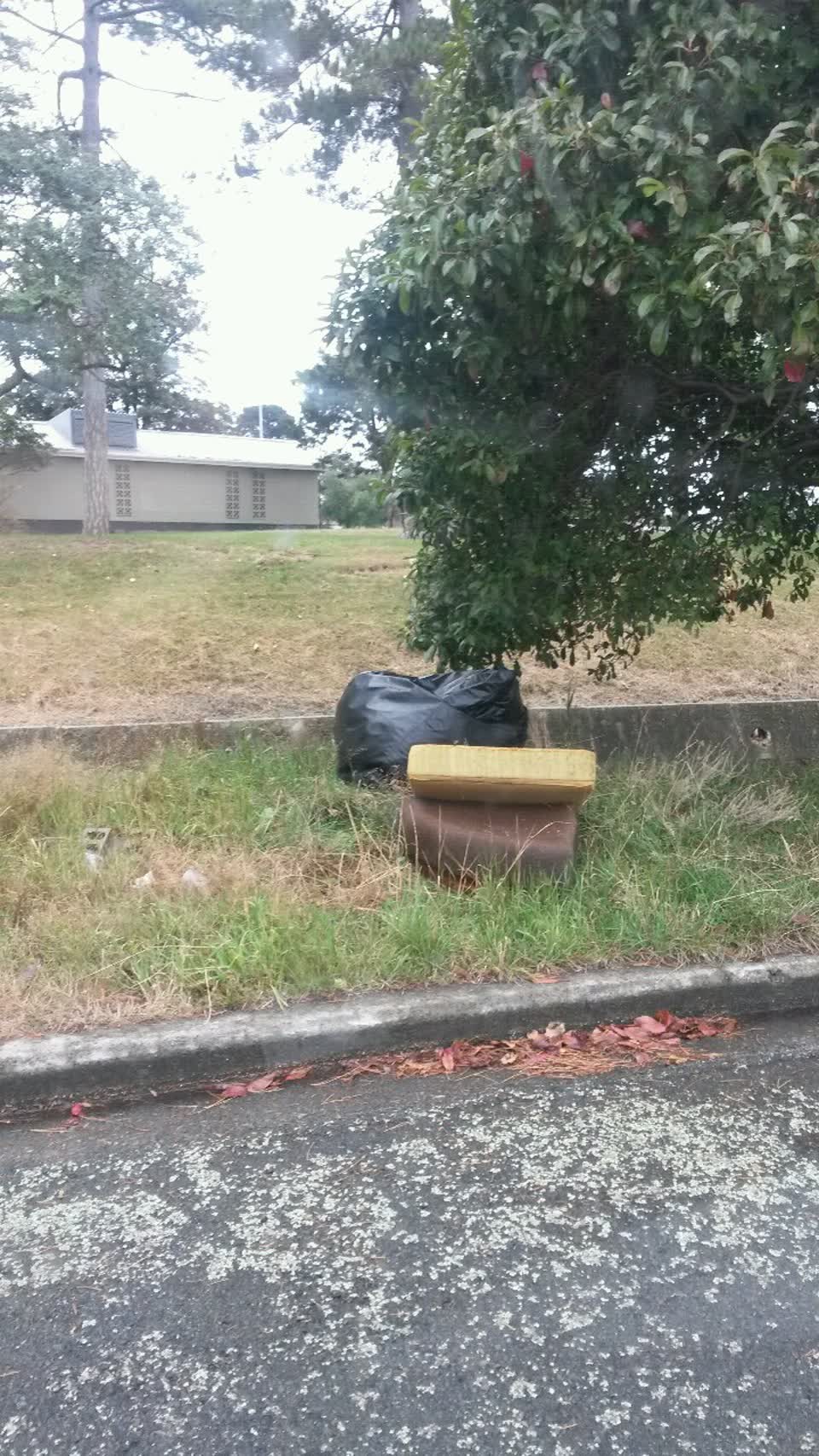 The photograph attached to this rubbish/recycling report