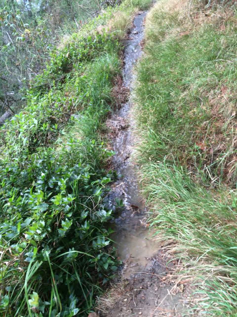 The photograph attached to this wastewater/stormwater report