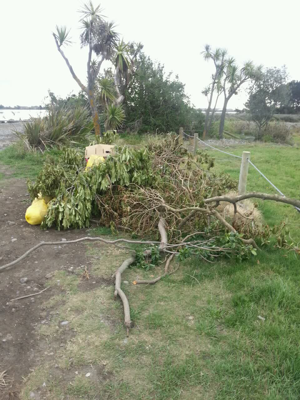 The photograph attached to this rubbish/recycling report
